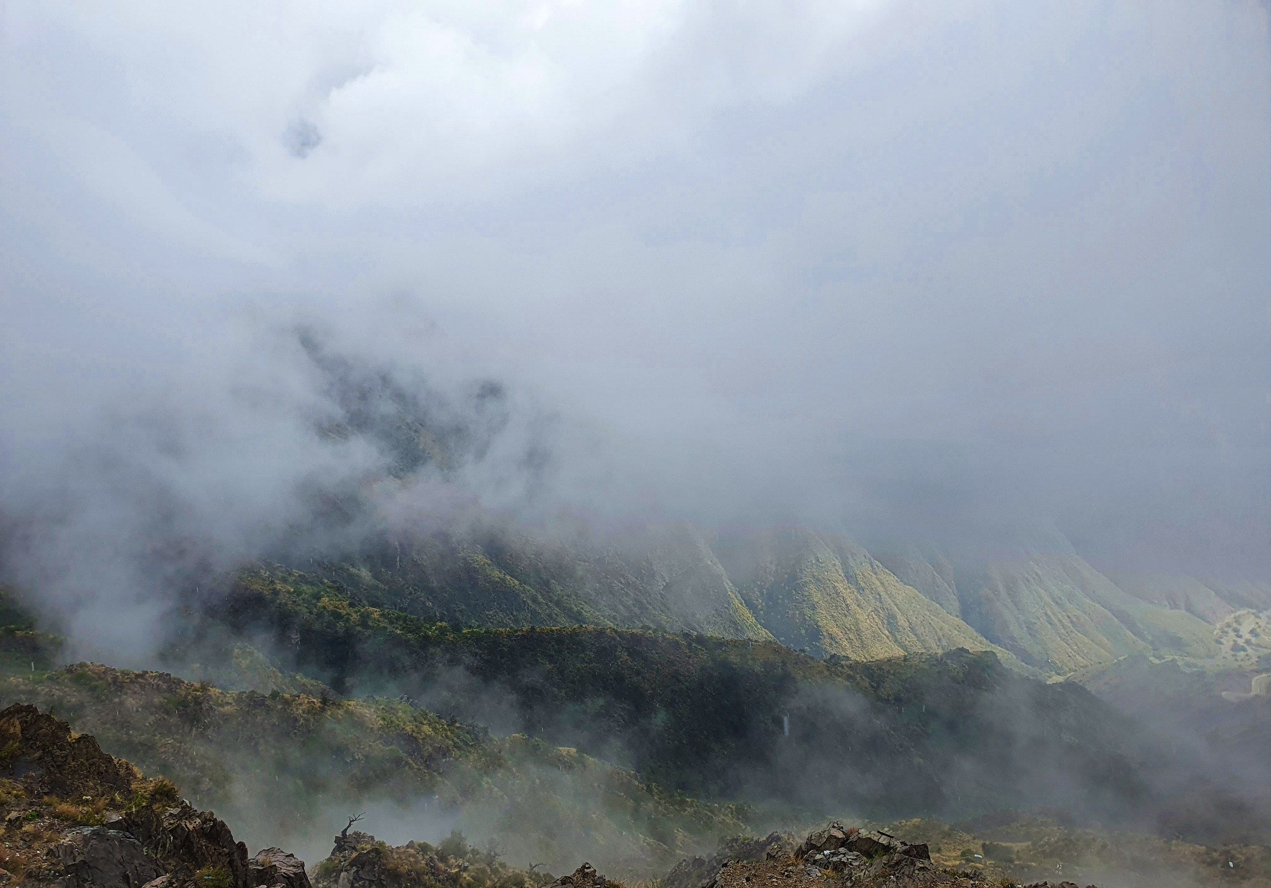 Green slopes of the Sarawat mountains in the Asir region